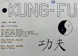 Projekt 12 "Kung Fu"